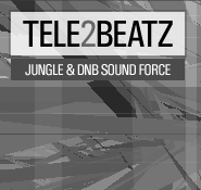 T2B